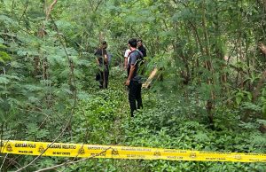 Rangka manusia ditemukan di hutan bakau Kampung Wai