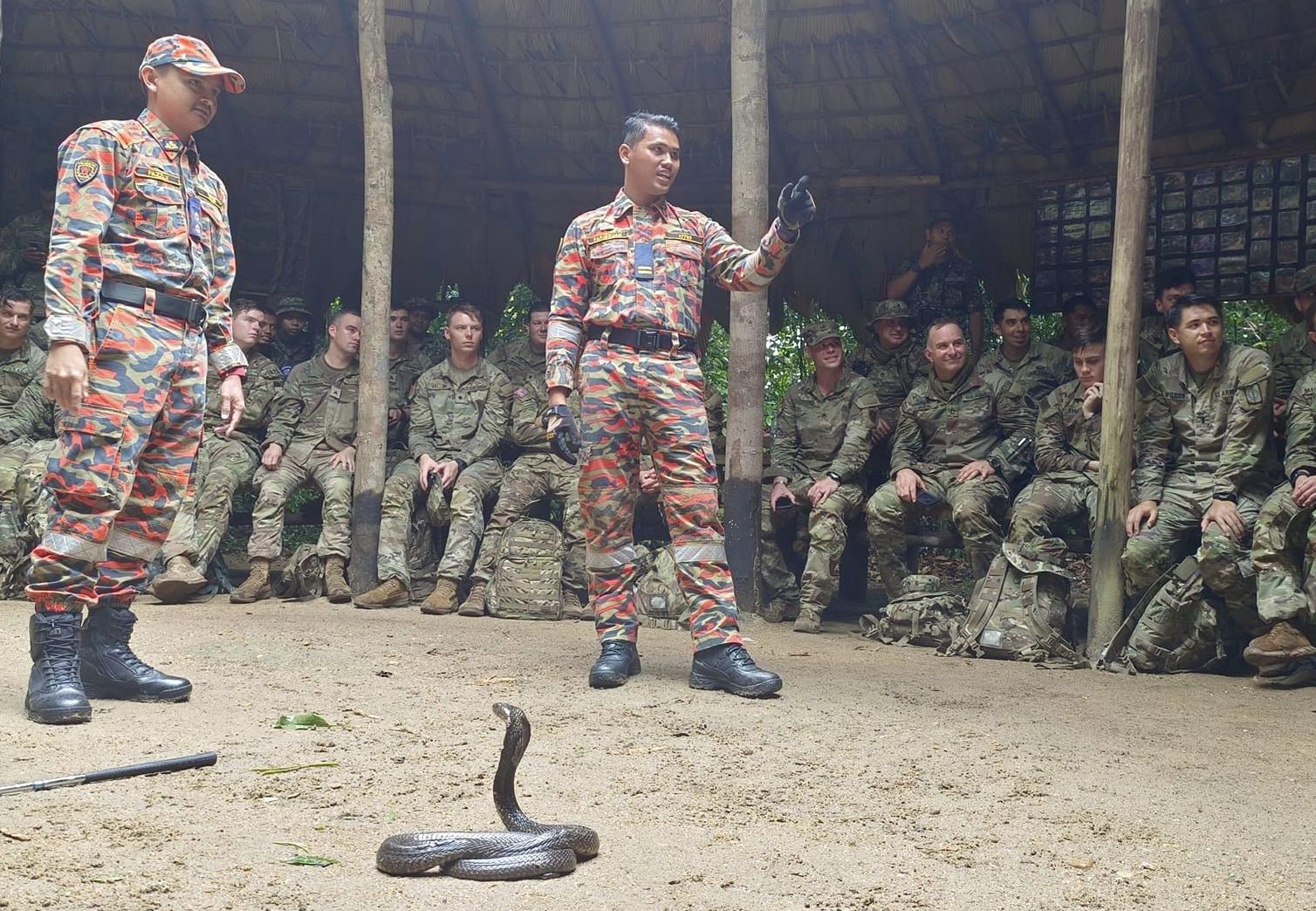 Mahir tangkap ular, Safiq terima pingat perkhidmatan cemerlang KPKT