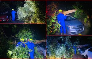 Empat lokasi sekitar ibu negara terjejas akibat pokok tumbang