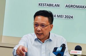 Lebih 60 peratus import sayur dimonopoli warga asing – Teh Meng