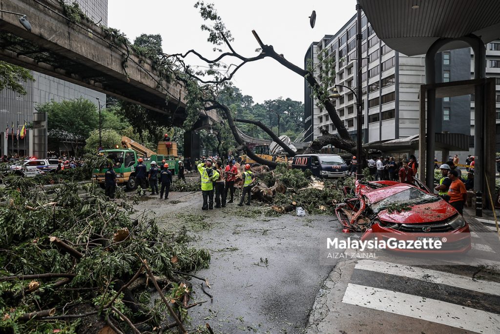 Ribut: Lelaki maut ditimpa pokok di Jalan Sultan Ismail