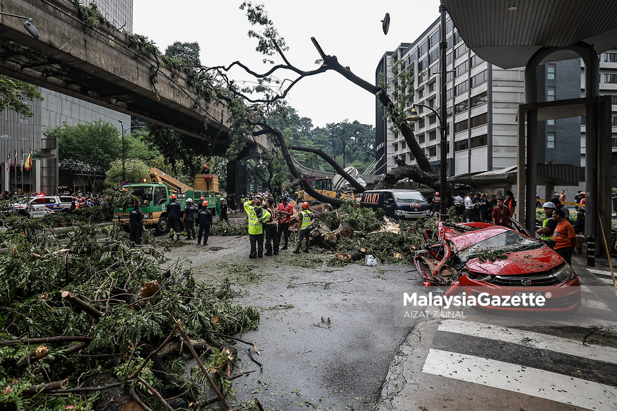 Prasarana Diarah Buat Kajian Kawasan Jajaran Rel Berisiko Pokok Tumbang