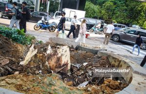 Lelaki cedera dalam insiden pokok tumbang dibenarkan keluar wad