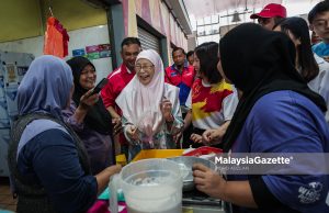 Pengundi wanita jangan mudah terpedaya dengan anasir jahat di TikTok