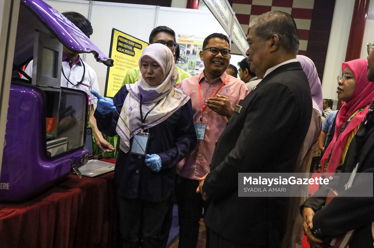 Bekalan daging tempatan masih di bawah 20% - Mohamad