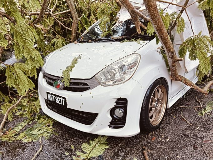 Tiga Buah Kenderaan Dihempap Pokok Tumbang Di Bukit Sentosa