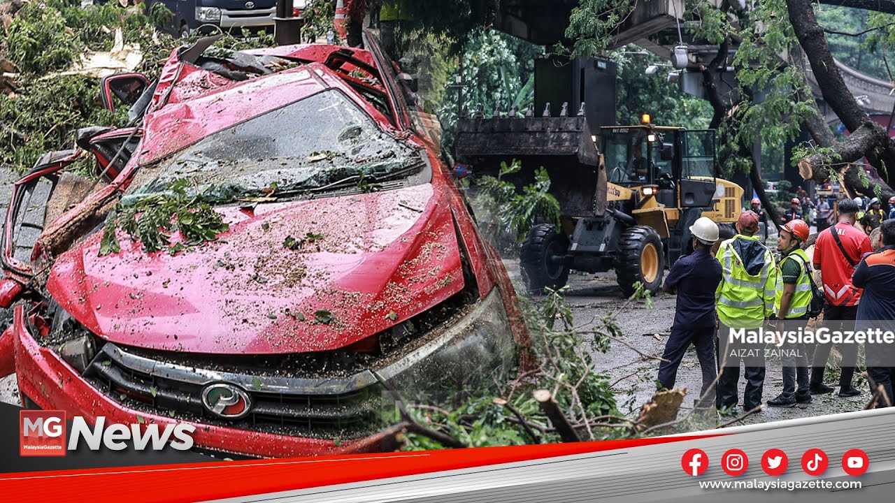 MGNews: Insiden Pokok Tumbang Di Jalan Sultan Ismail Ragut Satu Nyawa ...