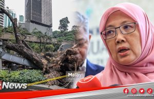 MGNews: 28 Pokok Berisiko Tinggi Di Ibu Negara Masih Belum Ditebang – Dr Zaliha