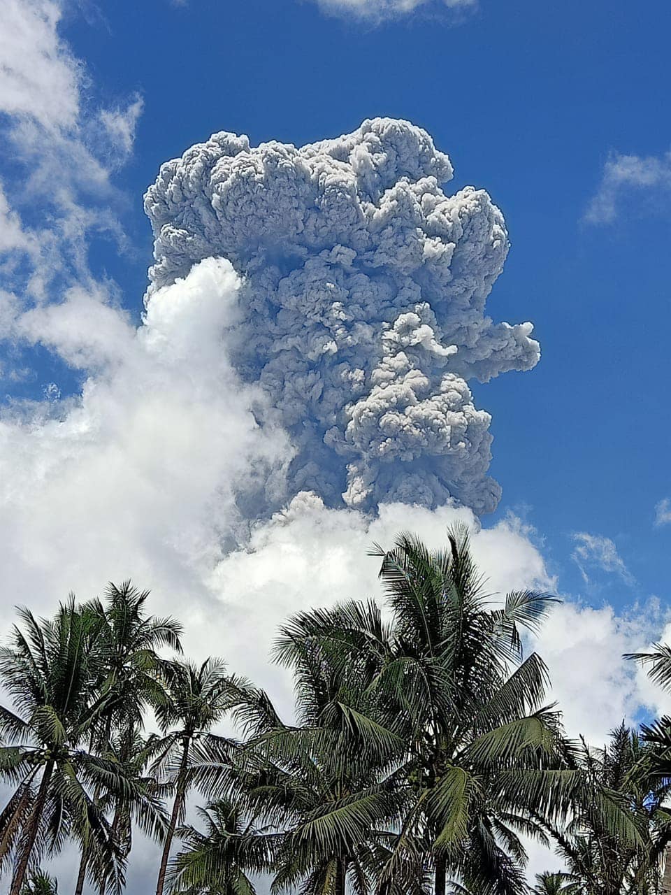 Gunung Ibu di Maluku Utara meletus, muntahkan abu sejauh 7 km