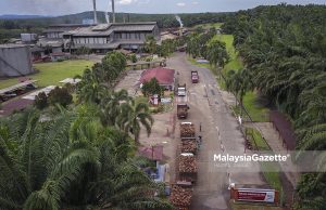 Niaga hadapan MSM cenderung meningkat