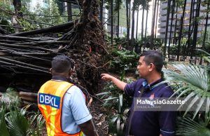90 pokok berisiko dikenal pasti di KL – Dr Zaliha