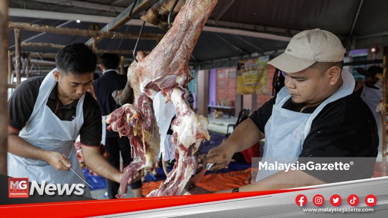 MGNews : Gugup Juga! ‘Penyembelih Muda’ Kini Galas Tugas Korban Aidiladha 5