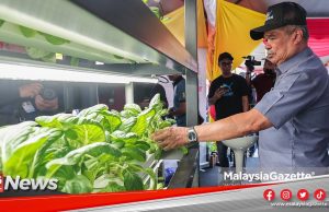 MGNews: KPKM Sedang Mencari Jalan Atasi ‘Abang Besar’ Sebelum Laksana Kebun Durian Komersial