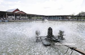 Kolam memancing curi bekalan air terawat