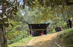 Pekerja kebun durian mati ditikam, dua rakan diburu polis