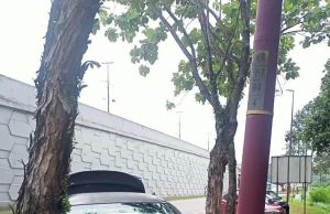 Lelaki maut kereta langgar pokok