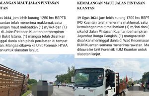 Dalam sebulan dua kes maut siram pokok bunga tepi jalan