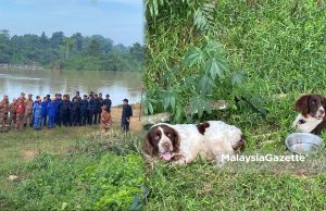 Sepatutnya Acu hadir temu janji rawatan psikiatri hari ini – Shazwan