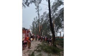 Wanita Kemboja maut dihempap pokok tumbang di Pantai Penunjuk