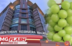 Anggur Shine Muscat Ada Racun Berlebihan #MGFlash