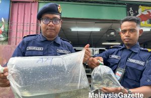 Perikanan serbu kedai akuarium, rampas 50 ikan larangan