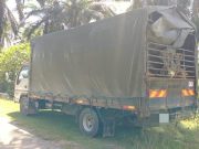 PGA rampas 13 lembu disyaki diseludup dari Thailand