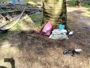 Tiga lelaki edar air ketum dalam ladang ditahan