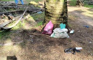 Tiga lelaki edar air ketum dalam ladang ditahan