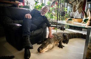 Frenchman who sleeps with alligators seeks refuge for venomous menagerie