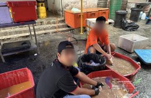Imigresen berkas 13 warga asing bekerja di restoran tular dalam TikTok