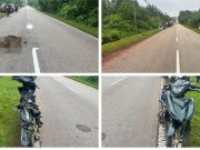 Lelaki maut, motosikal ditunggang langgar lembu