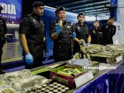 Penternak udang galah antara empat ditahan kes ganja