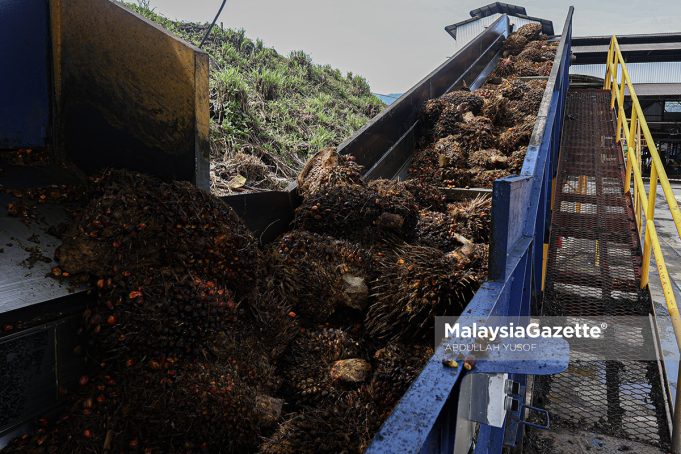 KILANG MINYAK SAWIT
