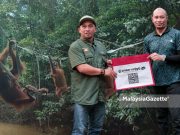 Orang utan semakin bertambah di Kawasan Pemuliharaan Sungai Pin