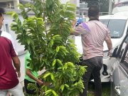 Wanita parah dirempuh kereta ketika berkebun depan rumah