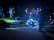 Pemuda maut motosikal langgar lembu