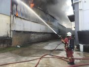 Tiga kilang memproses makanan terbakar