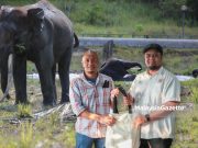Koridor Hidupan Liar Brumas capai matlamat jadi ‘lebuh raya’ gajah pygmy