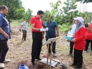 PSM tanam pokok, usaha pelihara alam sekitar Tasik Chini