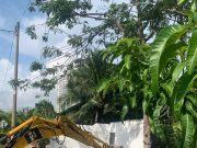 Tindakan tambah struktur haram di kawasan rumah undang padah