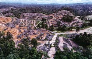Pas akan bangkit isu Hutan Sungai Lembing semakin ‘terang’ dalam sidang DUN