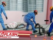 Ular Sawa Batik Dalam Longkang Sekolah #MGFlash
