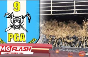 Seludup 1000 Spesis Tumbuhan Dari Thailand #MGFlash