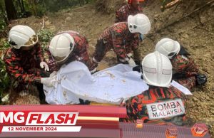 Warga Indonesia Maut Ditimpa Pokok #MGFlash