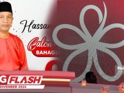 Bersatu Bahagian Tenggara Didakwa Terbubar #MGFlash