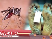 Tiga Kes Kematian Denggi Di Kelantan #MGFlash