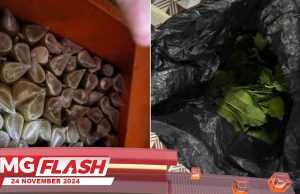 Empat Lelaki Dicekup Jual Air Ketum #MGFlash