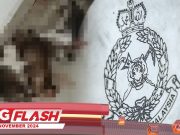 Bunuh Kucing Di Kediaman Pelajar #MGFlash