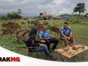 Biak Baka Rusa Dikawal Supaya Tiada Berlaku ‘Sumbang Mahram’ #BorakMG