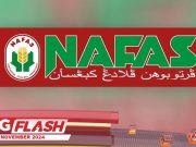 Perlembagaan Nafas Digantung #MGFlash